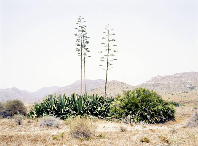 无人,横图,室外,白天,山,植物,西班牙,天空,自然,摄影,生长,宁静,国家公园,安达路西亚,阿尔梅里亚,彩图