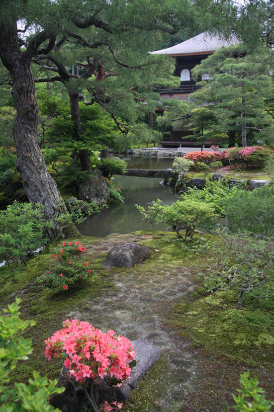 无人,竖图,室外,白天,美景,水,植物,建筑,日本,日本文化,景观,花,树,自然,景色,摄影,宗教,佛教,京都府,自然风光,亭台楼阁,银阁寺,彩图