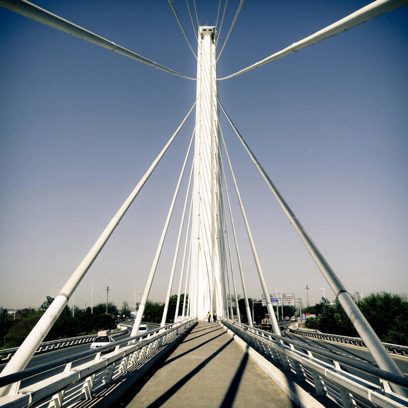 方图,室外,白天,大桥,建筑,桥梁,汽车,西班牙,阴影,斜拉桥,桥,联系,现代,树,运输,摄影,安达路西亚,塞维尔,万里无云,斜张桥,彩图,阿拉米罗桥