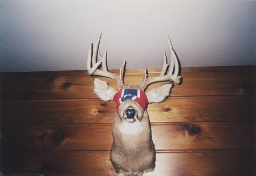 无人,吸烟,横图,生活用品,香烟,美国,环保,木制,手帕,手绢,日用品,摄影,幽默,死亡,鹿角,美观,彩图