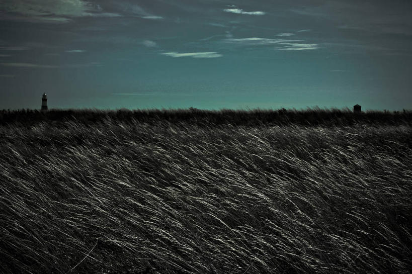 无人,横图,室外,农业,风,英国,摇摆,田地,云,自然,黄昏,摄影,生长,宁静,彩图