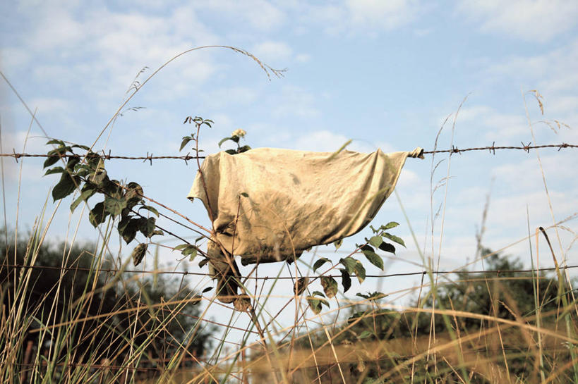 无人,横图,室外,白天,植物,西班牙,吊挂,悬挂,云,挂,衣服,天空,摄影,保护,宁静,简单,彩图,带刺铁丝网