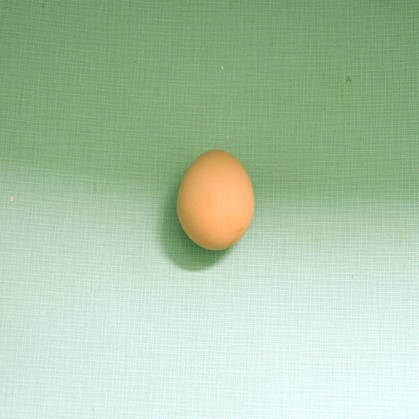 无人,方图,特写,留白,西班牙,绿色背景,阴影,鸡蛋,褐色,饮食,一个,摄影,单个,脆弱,简单,彩图