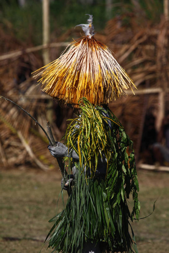 成年人,一个人,竖图,室外,白天,巴布亚新几内亚,仅一个男性,表演,庆祝,拿着,遮,遮掩,摄影,掩盖,享乐,遮挡,遮盖,新不列颠,掩饰,海滩,半身,彩图,传统服装,舞蹈,传统文化,传统节日