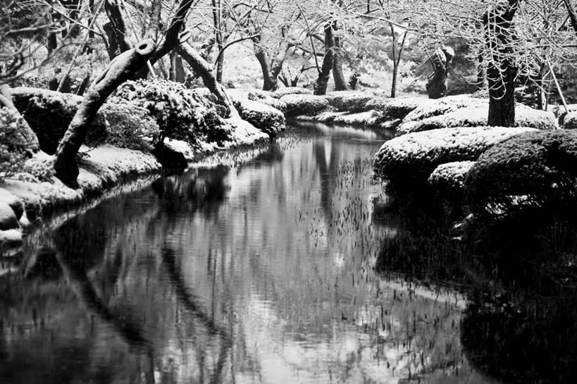 无人,横图,黑白,室外,河流,美景,雪,日本,日本文化,反射,景观,树,风景,自然,景色,寒冷,摄影,宁静,自然风光,石川县,彩图