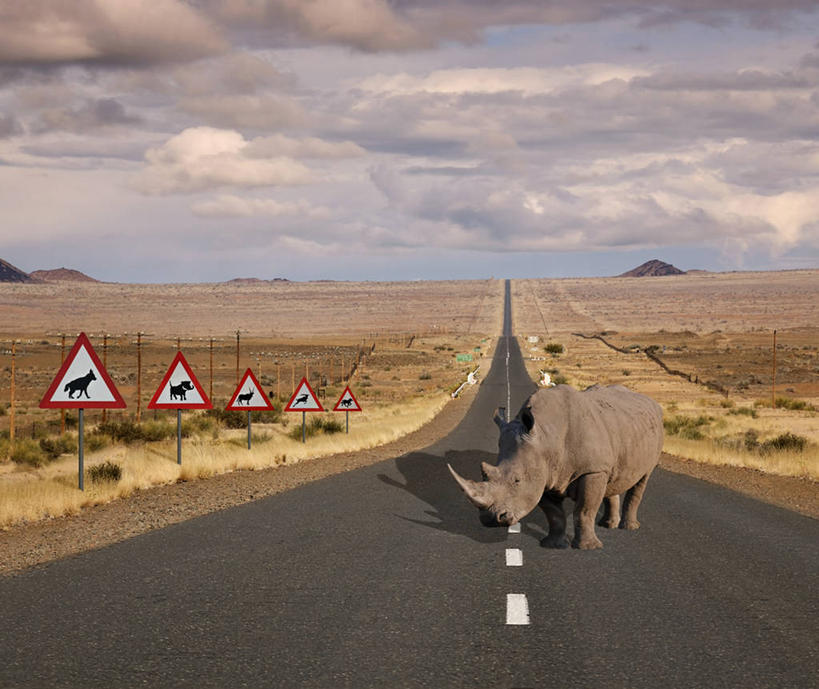无人,横图,室外,白天,路,野生动物,纳米比亚,阴影,地形,云,首都,天空,自然,运输,摄影,交通标志,温得和克,犀牛,彩图,横越