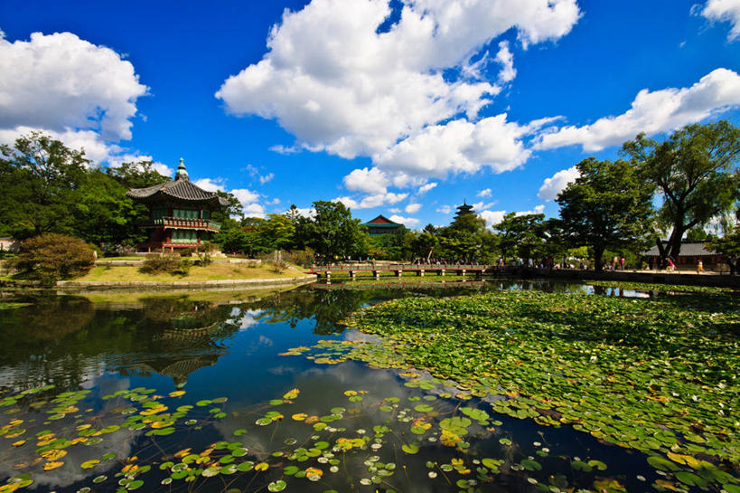 无人,宫殿,横图,室外,白天,美景,建筑,景福宫,首尔,韩国,反射,池塘,景观,云,首都,历史,草,树,天空,自然,景色,摄影,宁静,自然风光,亭台楼阁,秋天,彩图