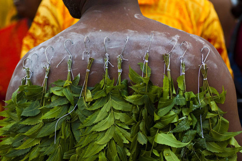 成年人,脸,头,脸颊,一个人,横图,室外,特写,白天,风险,叶子,马来西亚,吊挂,悬挂,庆祝,首都,挂,肩膀,背面,摄影,宗教,吊钩,事件,痛苦,吉隆坡,灵性,危险,头部,脸部,脸蛋,面部,彩图,大宝森节,传统文化,传统节日