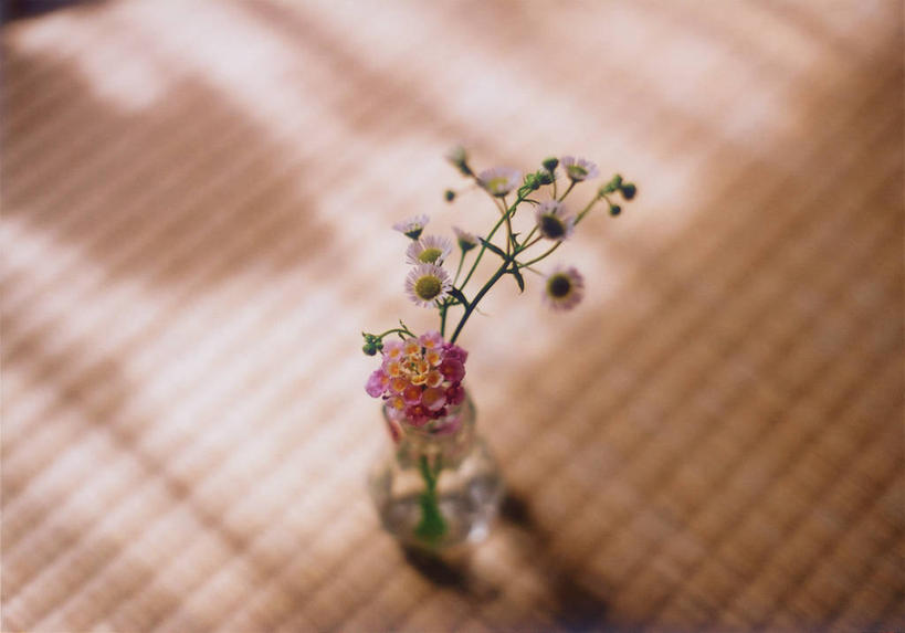 无人,横图,俯视,室内,白天,花瓶,日光,日本,阴影,日本文化,塌塌米,榻榻米,花,摄影,脆弱,清新,叠席,彩图,高角度拍摄