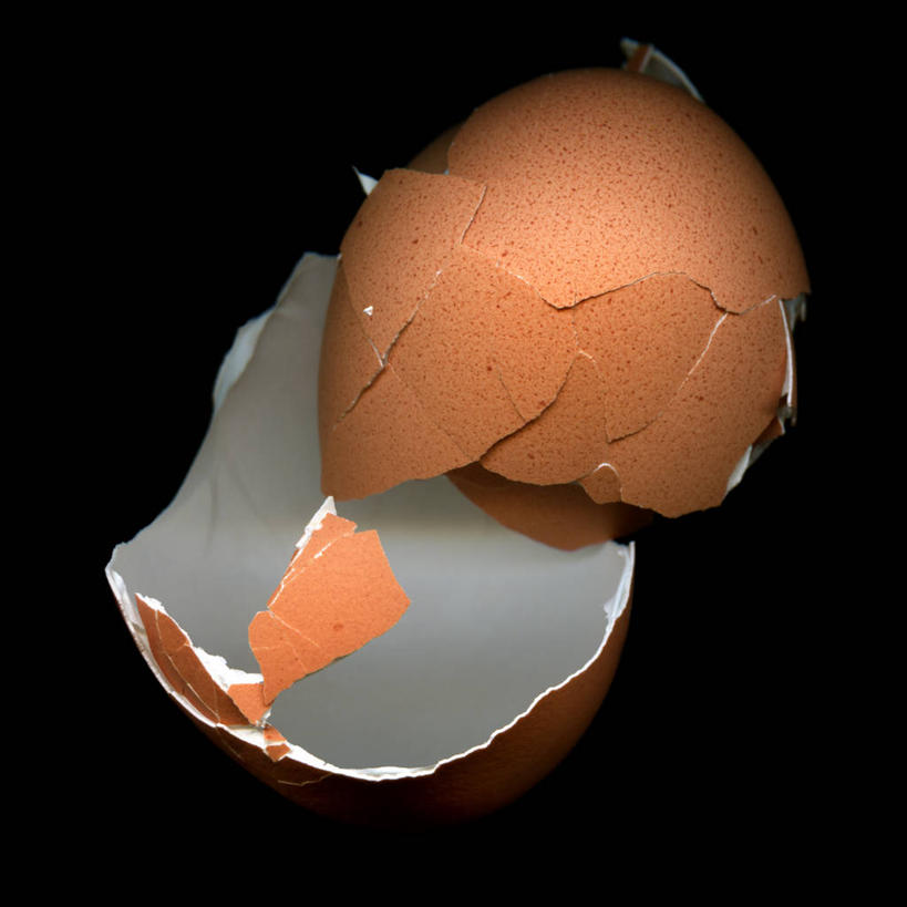 无人,方图,特写,英国,黑色背景,蛋,摄影,脆弱,毁灭,想法,彩图,影棚拍摄