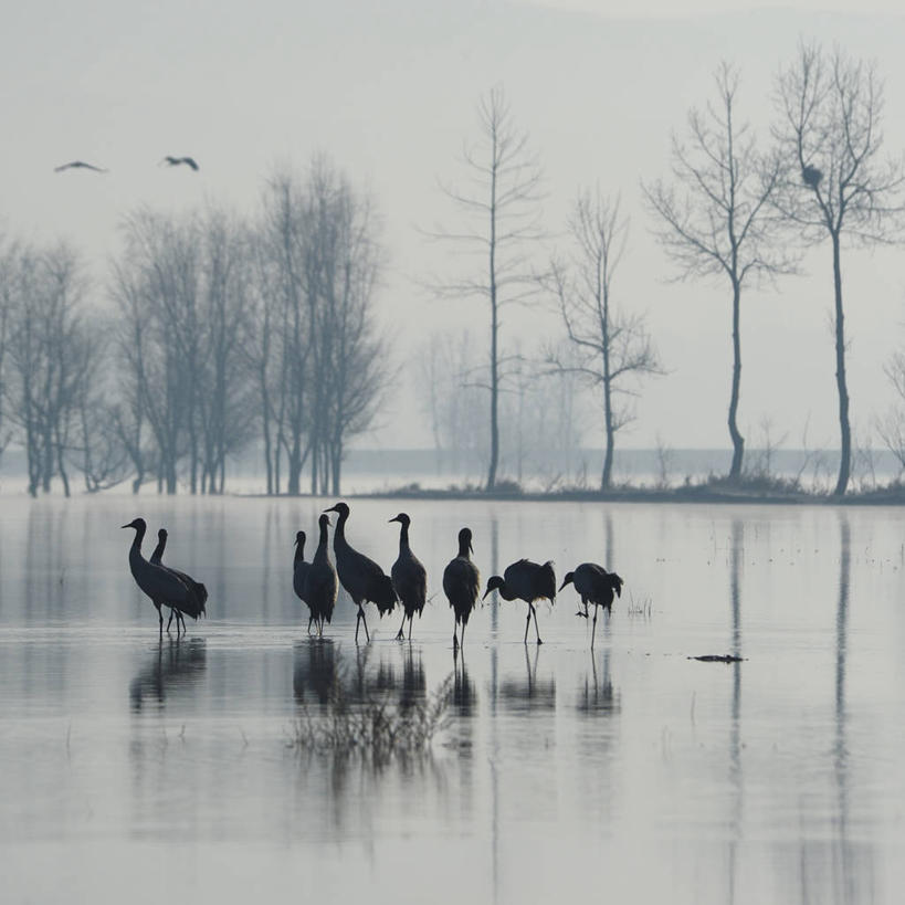 无人,方图,室外,白天,水,野生动物,反射,自然,摄影,云南省,彩图