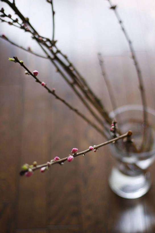 无人,竖图,俯视,室内,特写,白天,花瓶,日本,木制,茎,横滨,桃树,自然,春天,摄影,清新,彩图,高角度拍摄