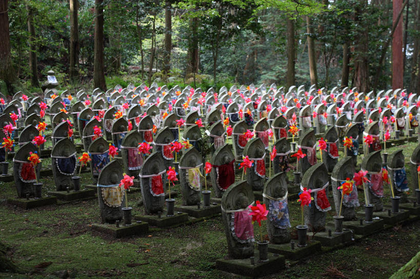 无人,横图,室外,白天,日本,一排,许多,丰富,日本文化,整齐,雕像,很多,树,排列,摄影,宗教,队列,记忆,滋贺县,彩图