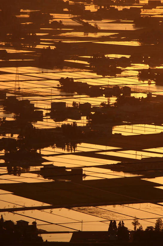 无人,竖图,俯视,室外,农业,美景,水,富山县,日本,稻田,景观,田地,风景,自然,黄昏,景色,摄影,宁静,自然风光,剪影,彩图,高角度拍摄