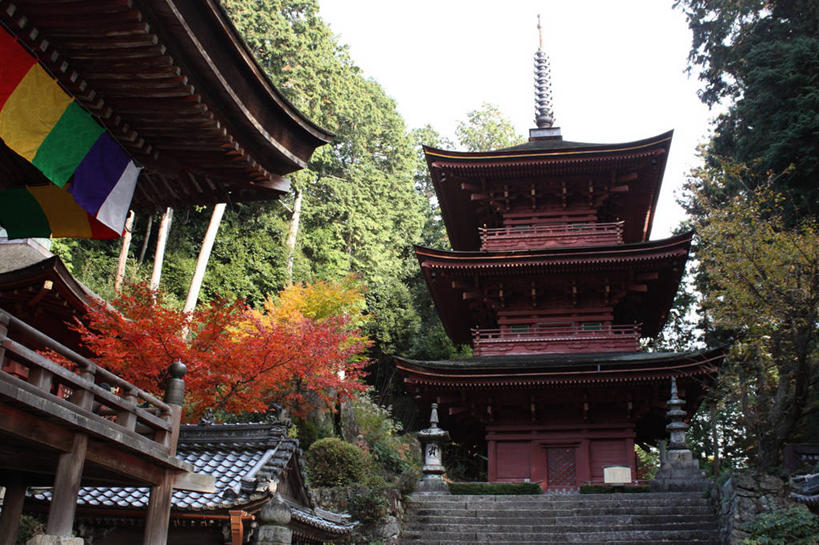 无人,寺庙,横图,室外,白天,城市,建筑,日本,日本文化,宝塔,摄影,宗教,佛教,滋贺县,彩图