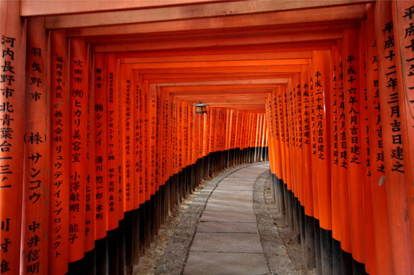 无人,横图,室外,白天,重复,建筑,京都,日本,亚洲,一排,日本文化,整齐,鸟居,排列,摄影,宗教,京都府,连续,神殿,宗教建筑,队列,东亚,本州,本州岛,日本国,近畿地方,近畿,持续,继续,陆续,伏见稻荷大社,伏见区,彩图