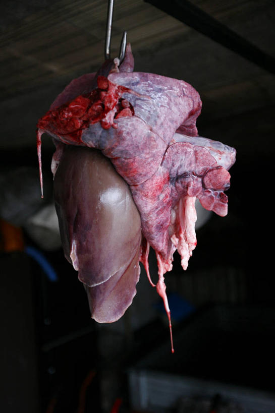 肝脏,无人,竖图,室内,特写,白天,意大利,吊挂,悬挂,挂,猪肉,饮食,零售,摄影,吊钩,清新,秤,彩图
