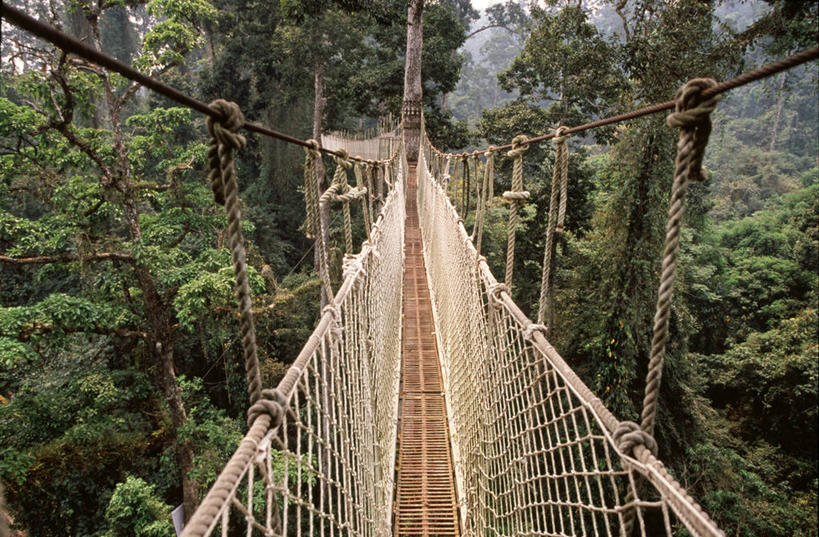 无人,横图,室外,白天,旅游,度假,美景,西双版纳,老挝,景观,联系,娱乐,风景,自然,绳子,地标建筑,享受,休闲,景色,放松,摄影,中国文化,自然风光,热带雨林,树梢,彩图