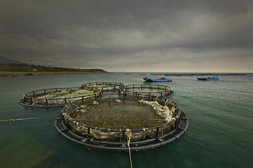 无人,横图,室外,白天,渔业,海洋,台湾,云,天空,自然,绳子,摄影,渔网,鱼网,彩图