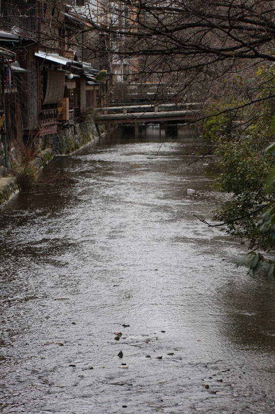 无人,竖图,室外,白天,日本,日本文化,流水,桥,树,摄影,运河,祗园,彩图,白川
