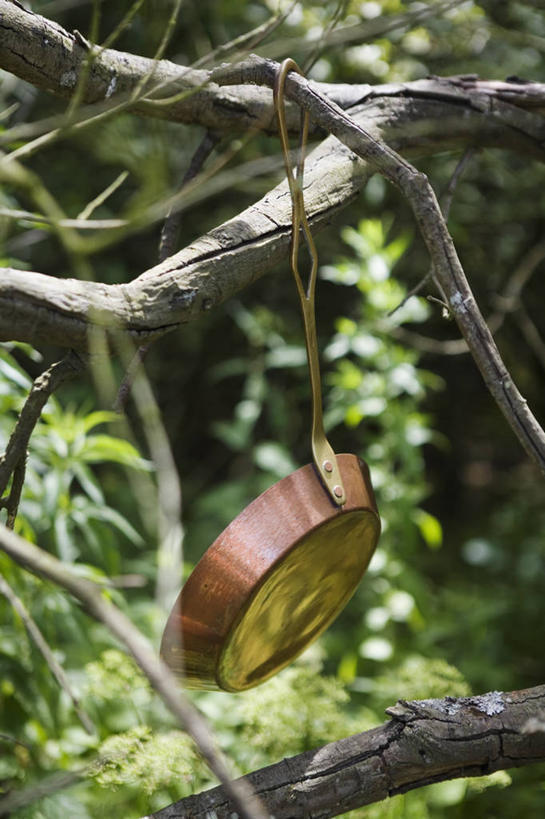 无人,竖图,室外,白天,叶子,荷兰,吊挂,悬挂,枝,首都,挂,树,自然,摄影,阿姆斯特丹,彩图