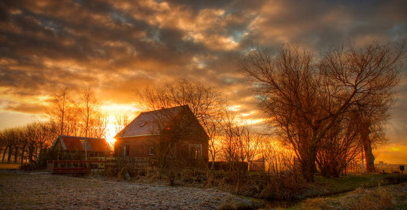 无人,横图,室外,农业,建筑,日光,荷兰,房屋,云,黎明,树,自然,摄影,宁静,农舍,代尔夫特,彩图