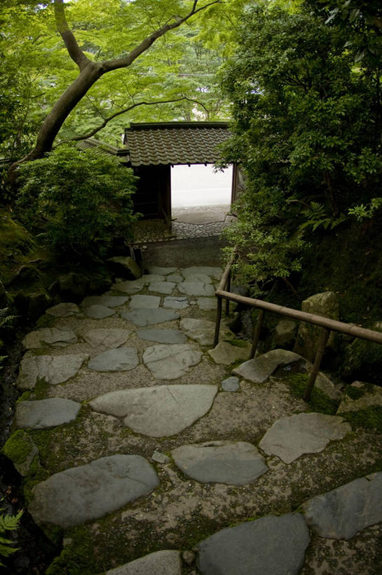 无人,栏杆,竖图,室外,白天,楼梯,日本,大门,树,自然,摄影,京都府,彩图