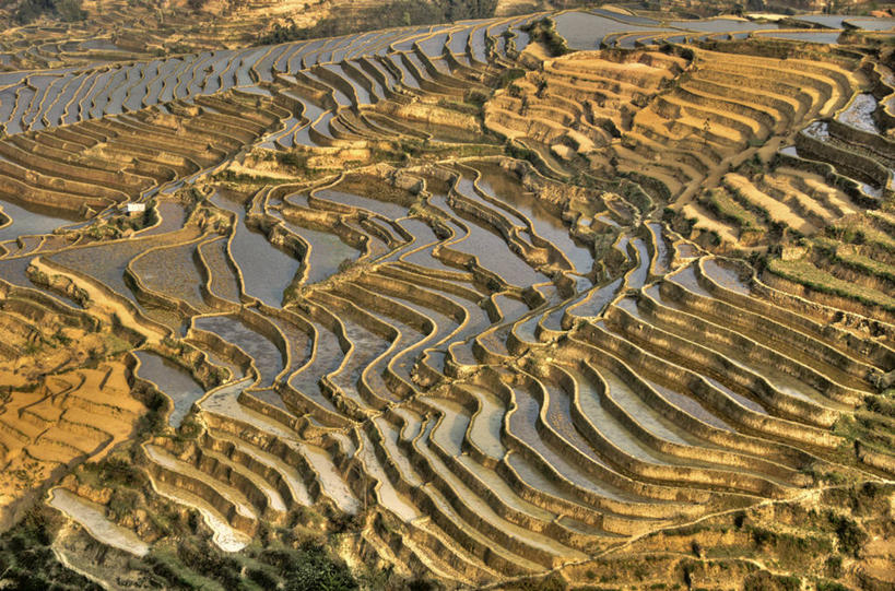 无人,横图,俯视,室外,白天,旅游,度假,农业,梯田,美景,稻田,地形,景观,娱乐,风景,自然,享受,休闲,景色,放松,摄影,生长,宁静,中国文化,自然风光,元阳,云南省,彩图,高角度拍摄