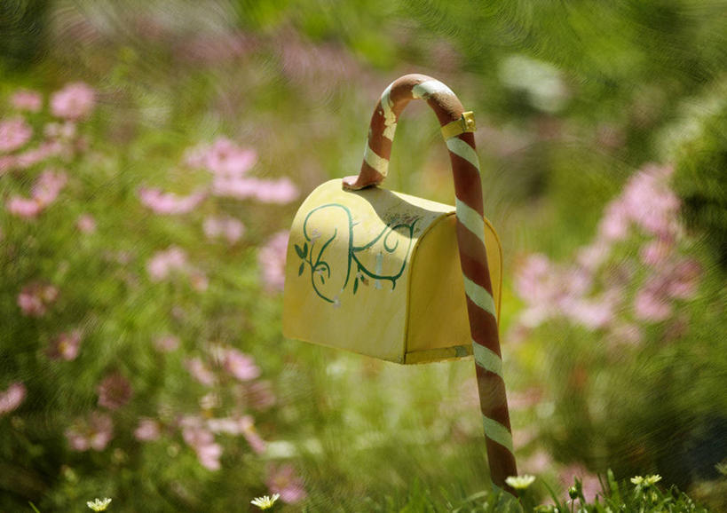 无人,横图,室外,白天,通讯,美国,纹路,纹理,庭院,邮筒,花,通信,摄影,加利福尼亚,肌理,想法,彩图