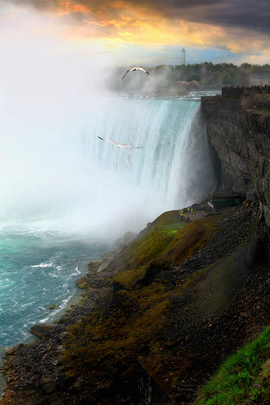 无人,竖图,室外,白天,美景,瀑布,野生动物,加拿大,鸟类,景观,宏伟,飞,风景,自然,动物,两只,景色,摄影,岩层,清新,自然风光,纯净,尼亚加拉瀑布,岩石,彩图,旅行