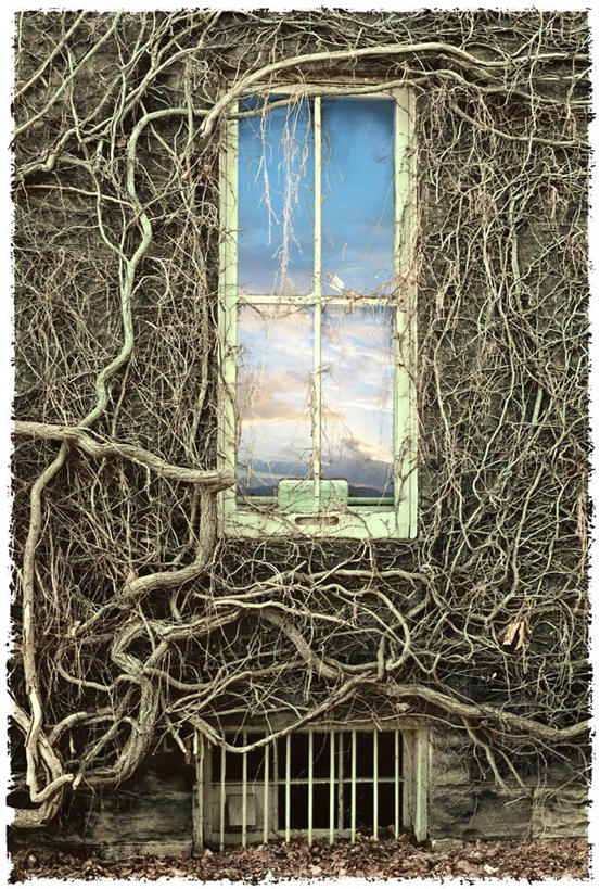 无人,竖图,室外,白天,建筑,加拿大,城堡,干草,历史,摄影,多伦多,彩图