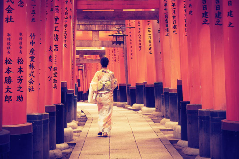 成年人,一个人,横图,室外,白天,建筑,京都,日本,亚洲,仅一个女性,和服,日本文化,日文,鸟居,背面,摄影,宗教,京都府,生活方式,神殿,东亚,本州,本州岛,日本国,近畿地方,近畿,伏见稻荷大社,伏见区,步行,彩图