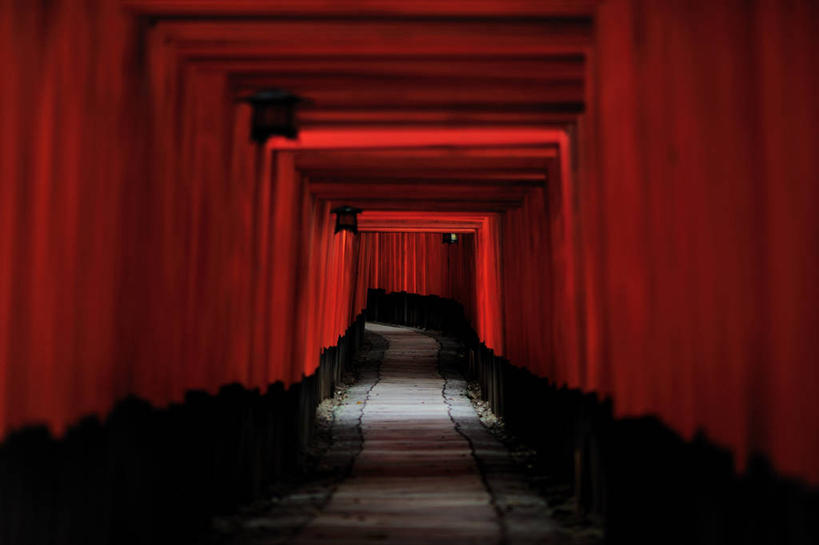 无人,寺庙,横图,室内,白天,重复,建筑,京都,日本,亚洲,一排,日本文化,整齐,鸟居,台阶,排列,地标建筑,摄影,宗教,京都府,神殿,宗教建筑,队列,东亚,本州,本州岛,日本国,近畿地方,近畿,伏见稻荷大社,伏见区,彩图