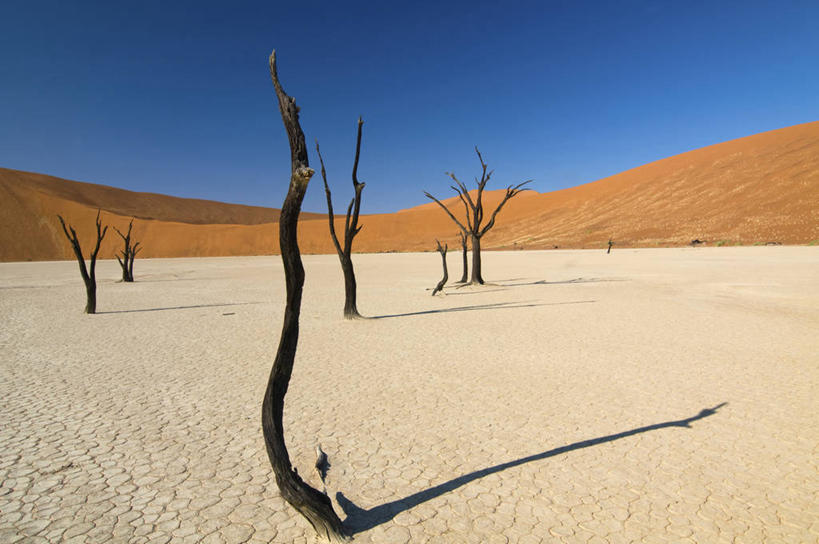 无人,横图,室外,白天,山,全球变暖,纳米比亚,阴影,环保,枝,热,天空,自然,摄影,能源,宁静,死亡,回收,资源,干的,利用,低碳,循环,万里无云,持续,彩图,独处