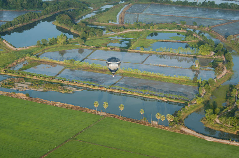 无人,横图,俯视,室外,白天,农业,美景,泰国,池塘,稻田,景观,半空,草,风景,自然,景色,摄影,宁静,事件,自然风光,彩图,高角度拍摄