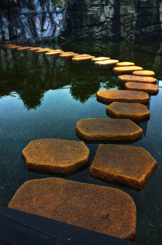 无人,竖图,室外,白天,森林,日本,反射,池塘,自然,摄影,宁静,垫脚石,彩图