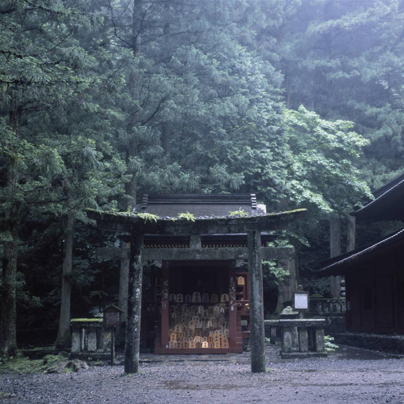 无人,方图,室外,白天,森林,建筑,日本,亚洲,日本文化,大门,鸟居,雪松,树,地标建筑,摄影,宗教,东亚,本州,枥木县,关东地方,本州岛,日本国,崎玉,崎玉县,彩图,日高市,传统文化