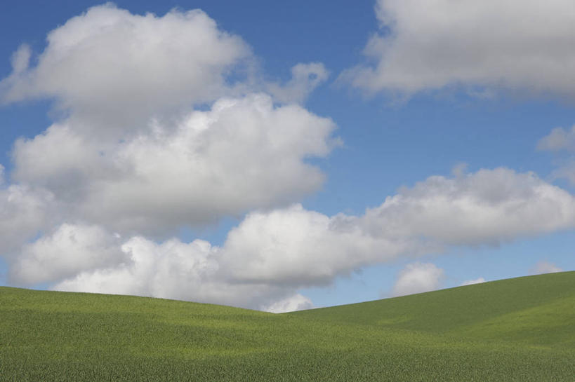 无人,横图,室外,白天,小麦,美景,美国,景观,田地,云,风景,天空,自然,景色,摄影,生长,宁静,加利福尼亚,自然风光,彩图,北加利福尼亚州