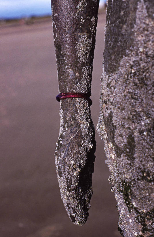 无人,竖图,室外,特写,白天,友谊,雕塑,英国,沙子,摄影,利物浦,兰开夏,想法,海滩,彩图