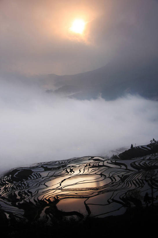 无人,竖图,室外,农业,梯田,美景,太阳,景观,田地,风景,自然,黄昏,景色,摄影,宁静,自然风光,元阳,云南省,彩图