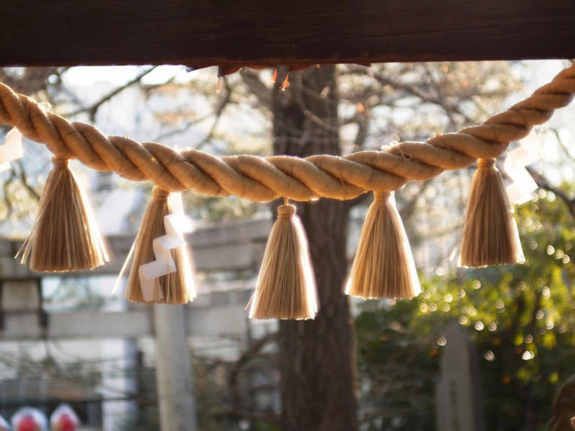 无人,横图,室外,特写,白天,东京,日本,吊挂,悬挂,节日,日本文化,环绕,缠绕,稻草,首都,挂,文化,树,树干,自然,绳子,祈祷,健康,许愿,摄影,宗教,信仰,纪念,神道,祈求,纠缠,刘海,神道教,平安,彩图,传统文化,卷须