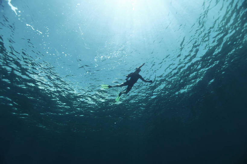 游泳,一个人,横图,水下,西班牙,自然,乐趣,潜水,摄影,享乐,休闲活动,彩图,钓鱼