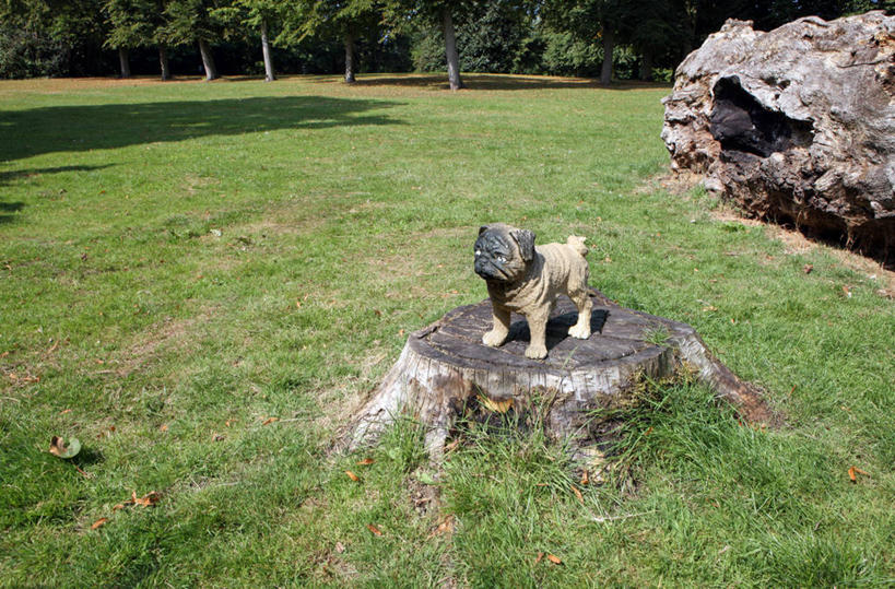 无人,公园,横图,室外,白天,玩具,英国,塑胶,首都,草,摄影,宁静,彩图