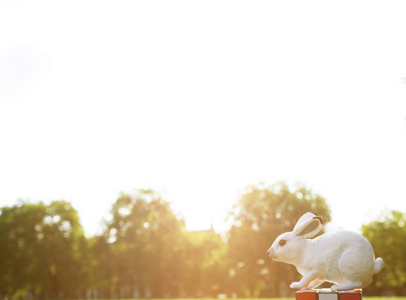 无人,横图,室外,白天,镜头眩光,玩具,日光,英国,首都,树,天空,摄影,万里无云,想法,彩图