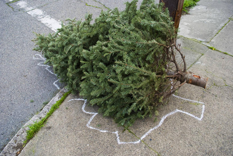 无人,横图,俯视,室外,白天,路,美国,圣诞节,环保,圣诞树,树,自然,摄影,能源,回收,资源,犯罪,加利福尼亚,利用,低碳,循环,旧金山,持续,犯罪现场,粉笔轮廓,彩图,高角度拍摄