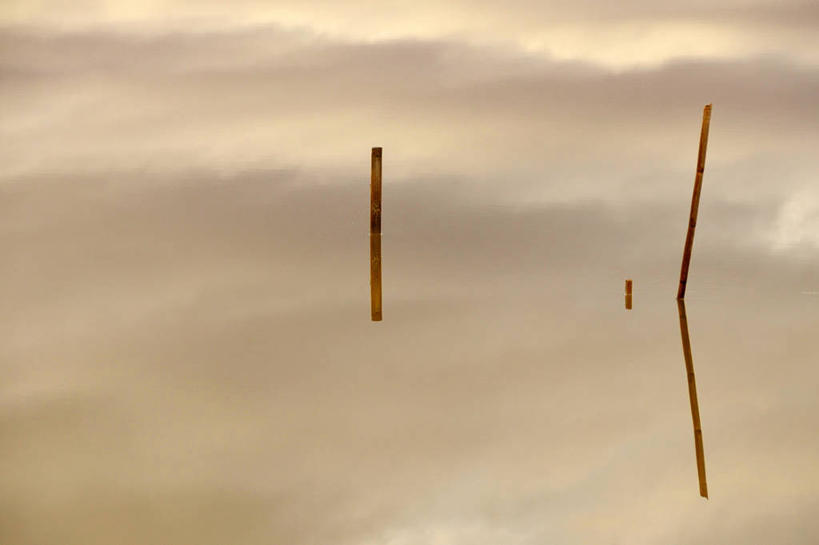 无人,横图,室外,白天,西班牙,反射,自然,黄昏,木桩,摄影,宁静,潟湖,彩图