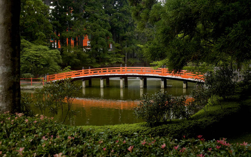 无人,横图,室外,白天,美景,植物,日本,日本文化,反射,池塘,景观,桥,联系,树,自然,景色,摄影,宁静,自然风光,彩图,高野山