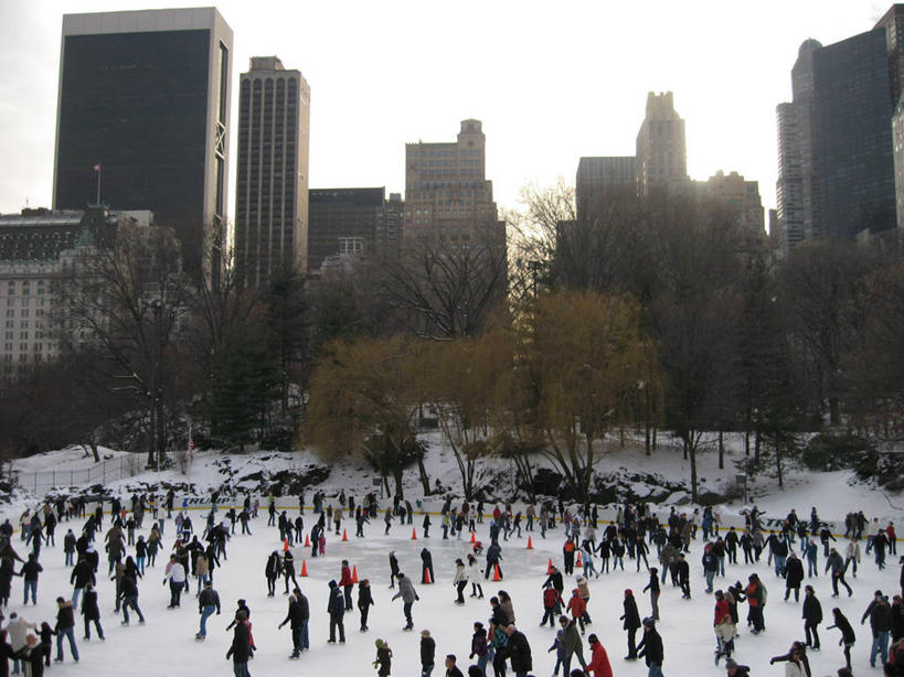 横图,室外,白天,滑冰,雪,城市,建筑,摩天大楼,纽约,美国,冬天,许多人,树,一群人,寒冷,摄影,享乐,中央公园,溜冰场,万里无云,冬季运动,休闲活动,彩图