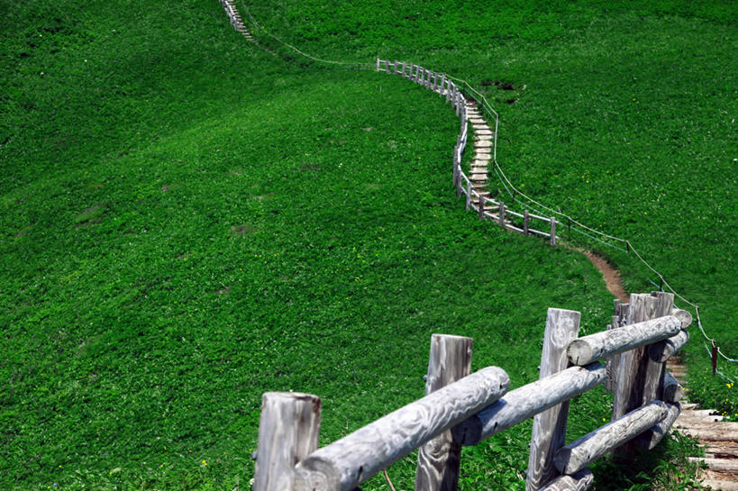 无人,横图,室外,白天,山,北海道,日本,木制,地形,草,绿色,自然,摄影,木板路,宁静,彩图