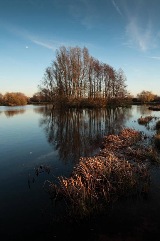 无人,竖图,室外,美景,芦苇,英国,反射,景观,云,树,天空,自然,黄昏,景色,摄影,宁静,自然风光,莱切斯特城,死水,秋天,彩图